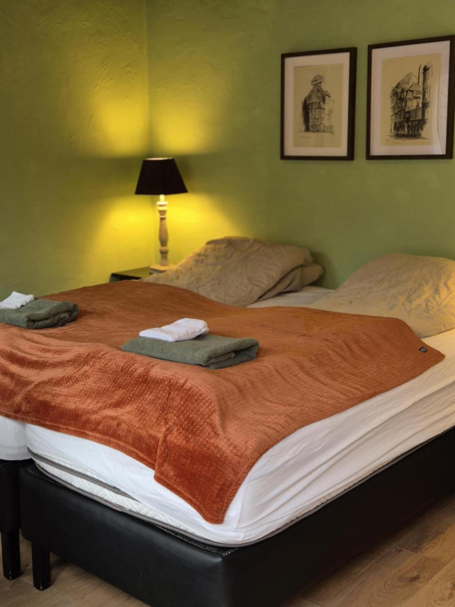 Beautiful Guestroom To Rent With A Mountain View Laugarvatn Εξωτερικό φωτογραφία